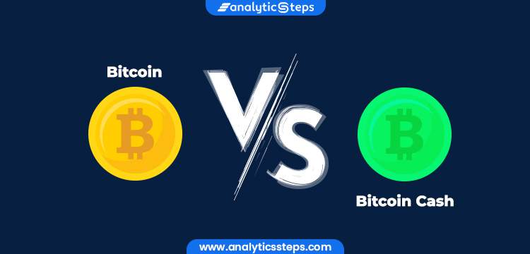 what is btc and bch in bitcoin